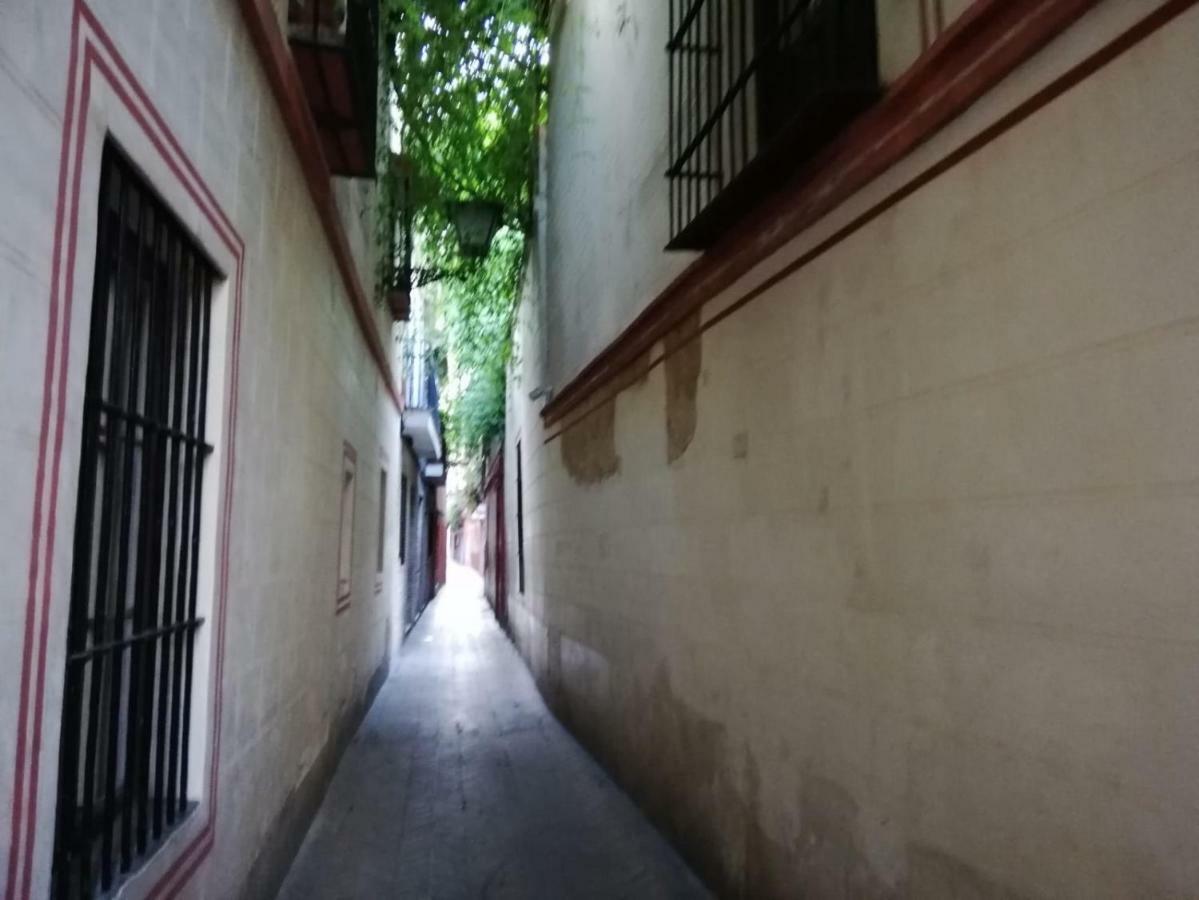 Apartamento en la Judería de Sevilla Sevilha Exterior foto